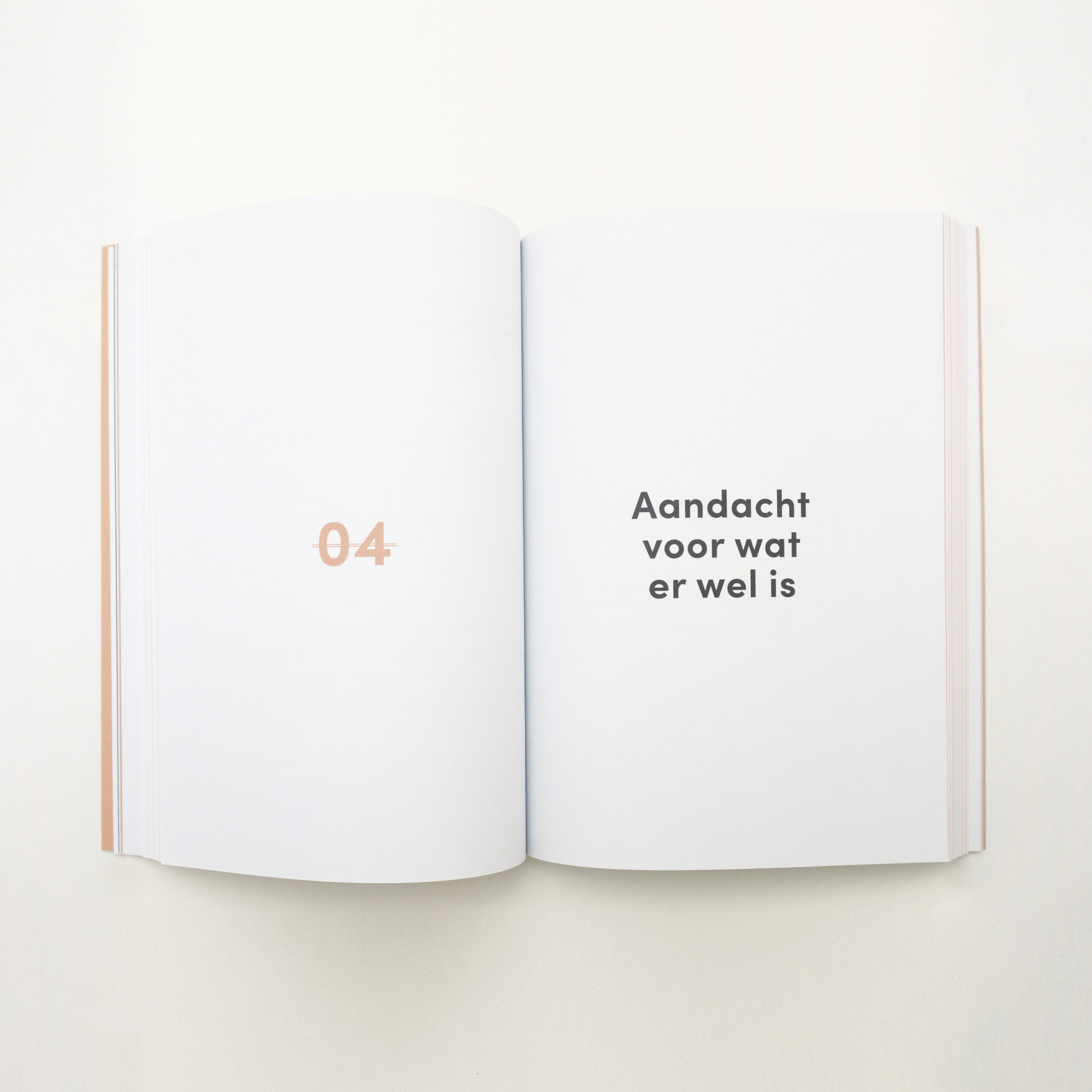 mount-zirkel-jouw-jaar-vol-aandacht-grafische-vormgever-boek